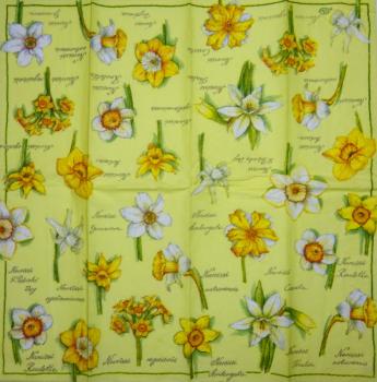 184 Narzissen - 3 lagig -